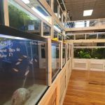 Purple Moon Aquatics LLC