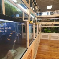 Purple Moon Aquatics LLC ico