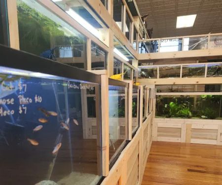 Purple Moon Aquatics LLC