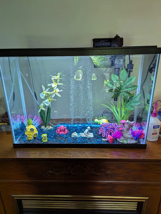 Purple Moon Aquatics LLC Picture 2