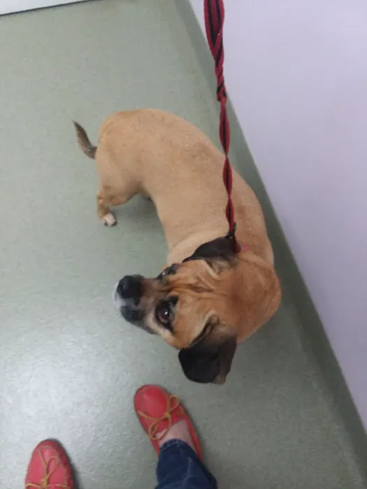Athens Animal Clinic Picture 10