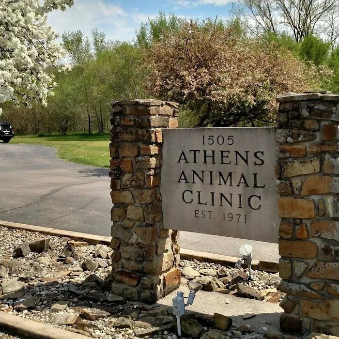 Athens Animal Clinic Picture 8