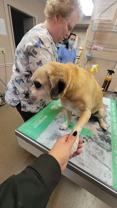 Athens Animal Clinic Picture 2