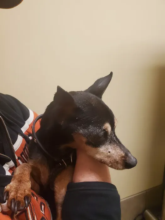 Columbus Animal Hospital Picture 6