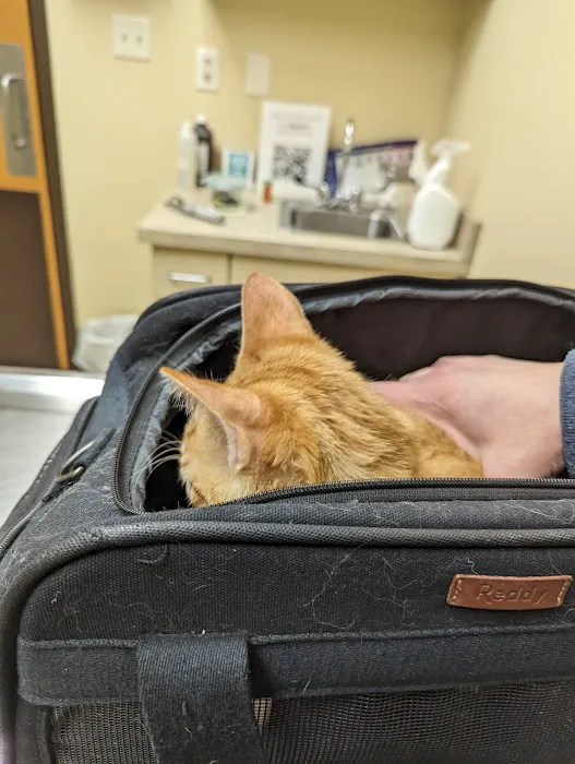 Columbus Animal Hospital Picture 9