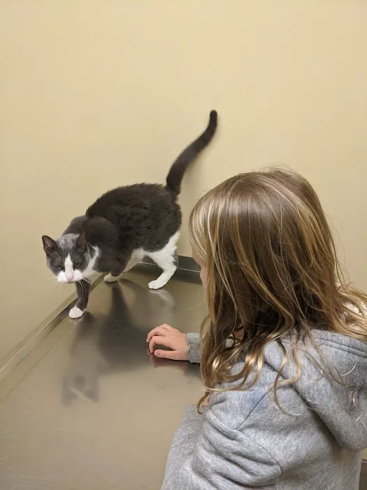 Columbus Animal Hospital Picture 10