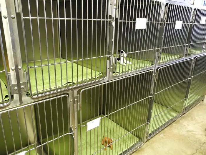 Northside Hope Veterinary Clinic Picture 6