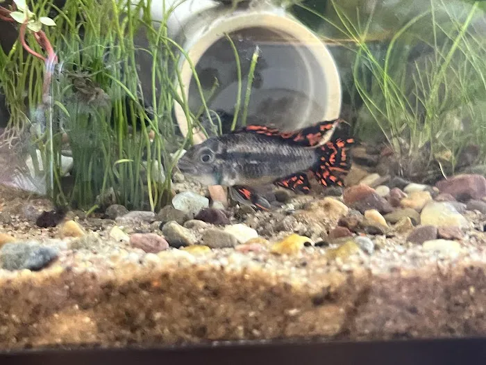 Premium Aquatics Picture 7