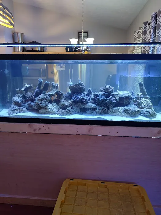Premium Aquatics Picture 3