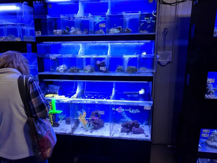 Premium Aquatics Picture 1