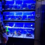Premium Aquatics