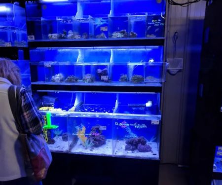 Premium Aquatics