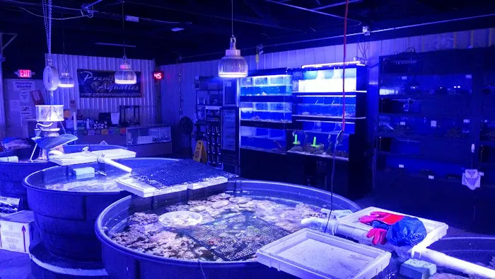 Premium Aquatics Picture 4