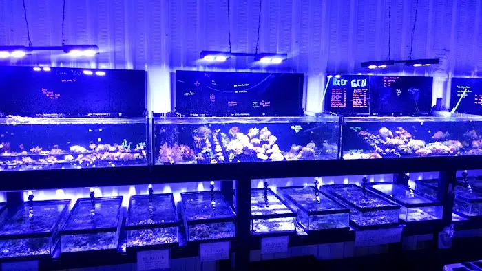 Premium Aquatics Picture 10