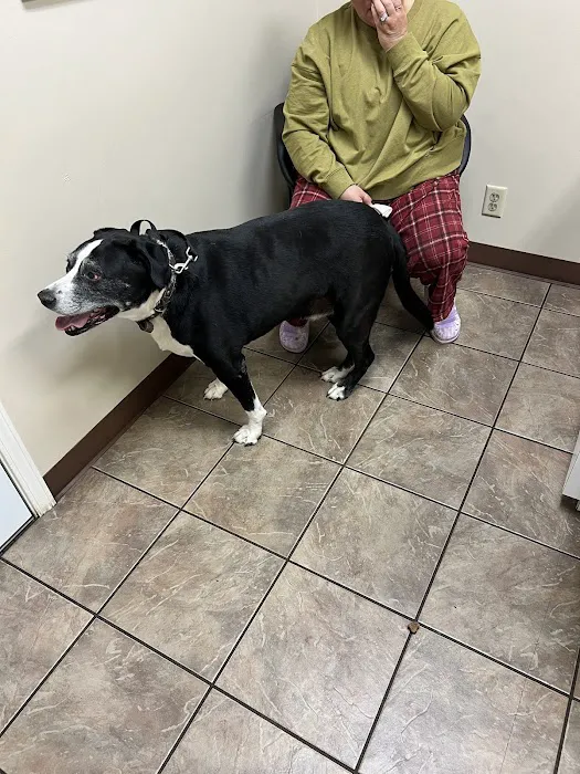 Greensburg Veterinary Clinic Picture 4