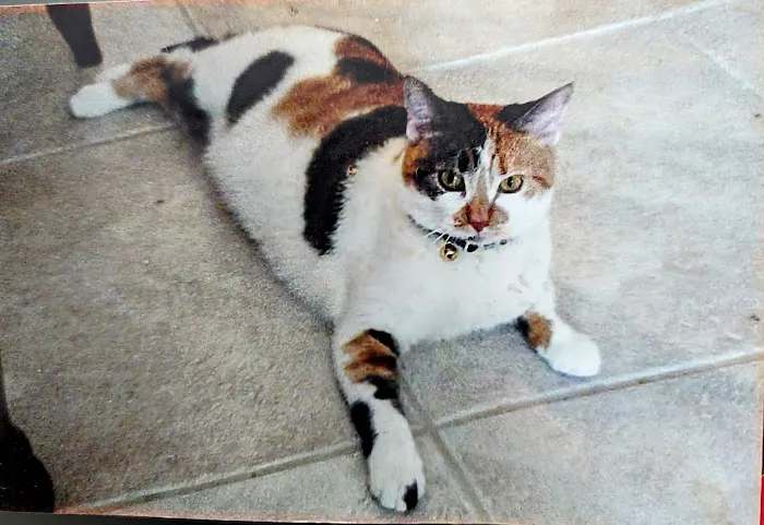 Greensburg Veterinary Clinic Picture 2
