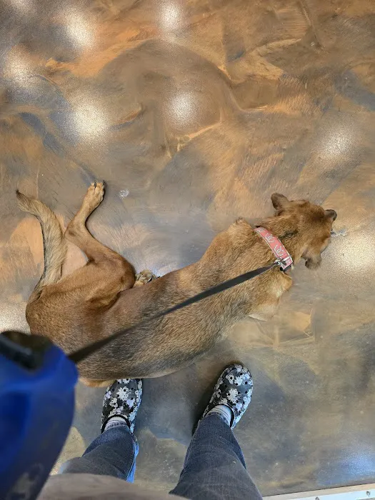 Licking Valley Veterinary Services Picture 2