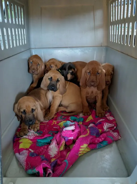 Licking Valley Veterinary Services Picture 4
