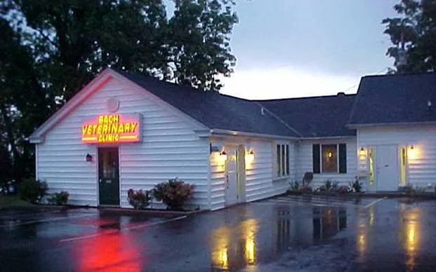 Bach Veterinary Clinic Picture 2