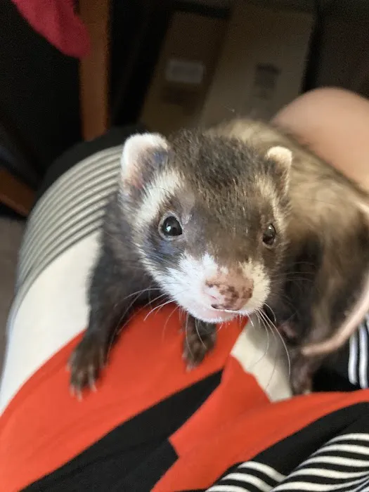 All Creatures Veterinary Clinic Picture 2