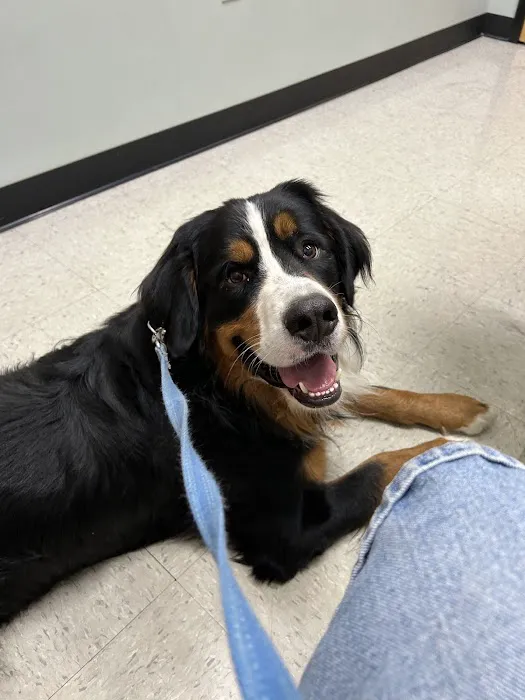 NKY Animal Care Center Picture 6