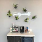 Union Pointe VetCare