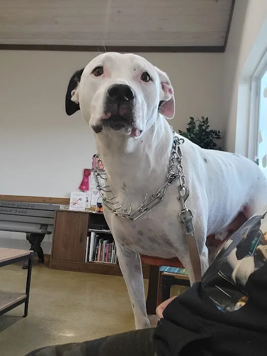 Grants Lick Veterinary Hospital Picture 3