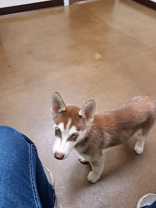 Grants Lick Veterinary Hospital Picture 4