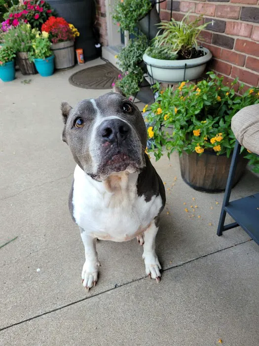 Union Pet Hospital Picture 8