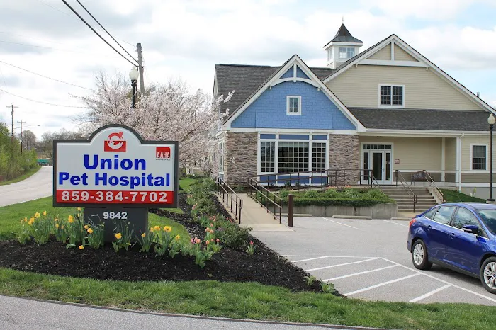 Union Pet Hospital Picture 9