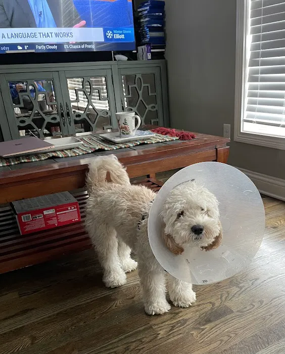 Commonwealth Veterinary Clinic Picture 9