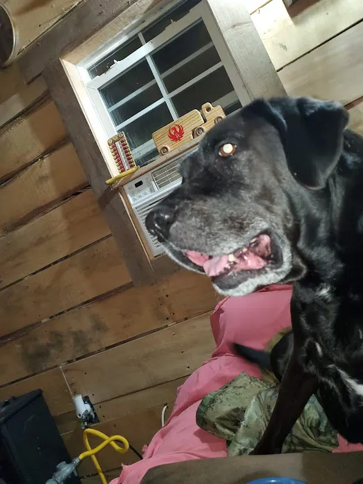 All 4 Paws Inc Picture 2