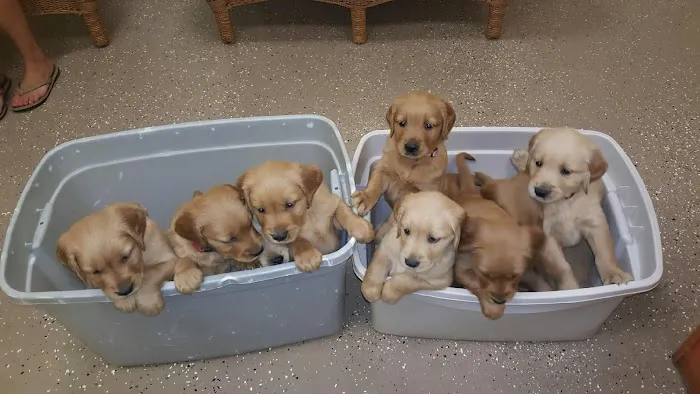 Best Pets Animal Clinic Picture 5