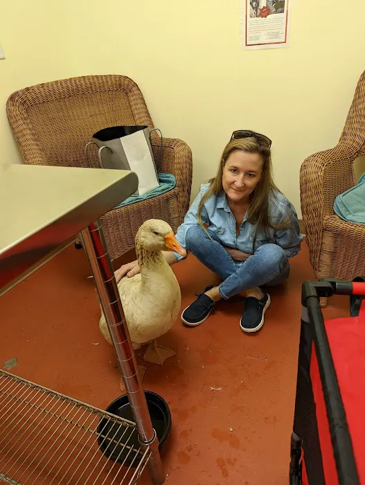 Best Pets Animal Clinic Picture 3