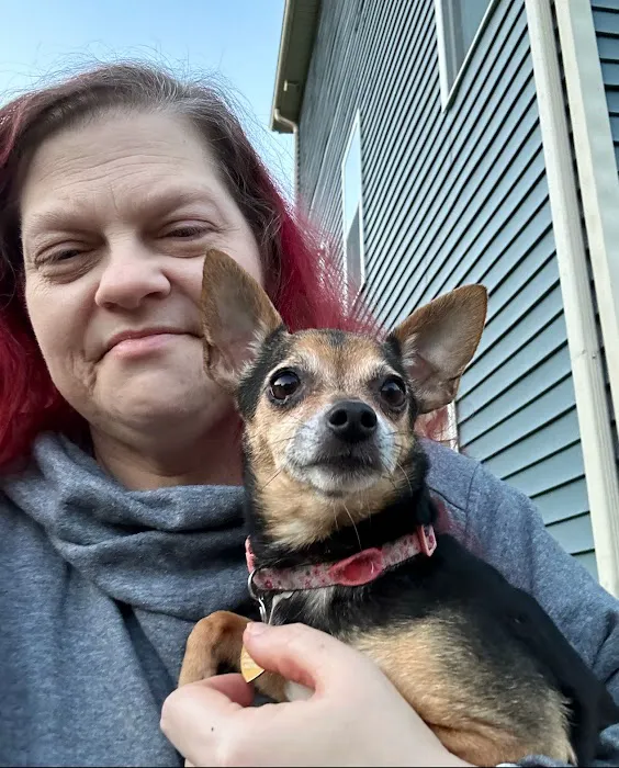 Best Pets Animal Clinic Picture 2
