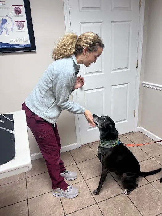 Scott County Veterinary Clinic Picture 6