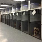 Scott County Veterinary Clinic