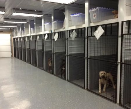 Scott County Veterinary Clinic