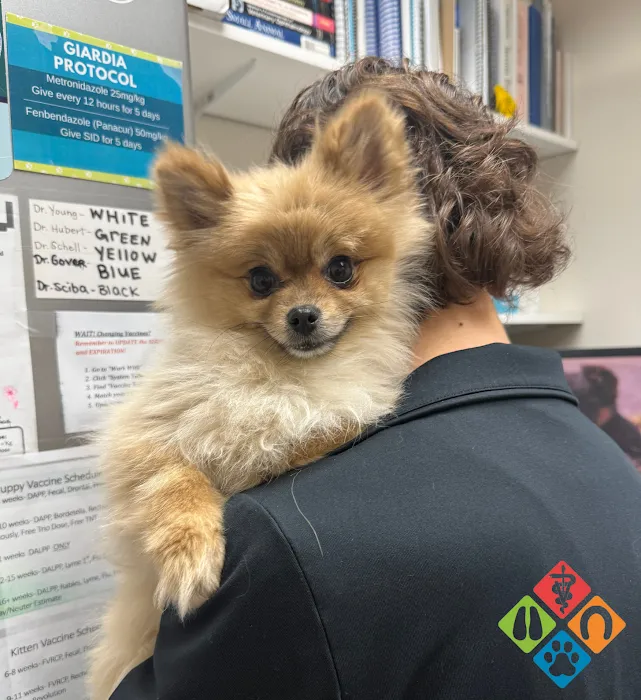 Scott County Veterinary Clinic Picture 4