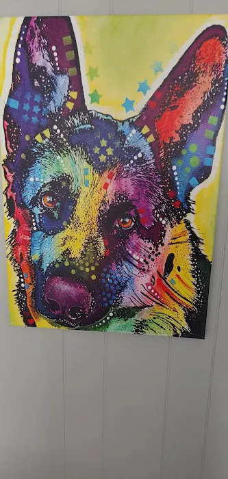 Pet Wellness Veterinary Center Picture 1