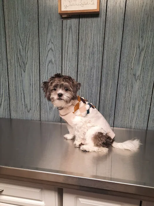 Pet Wellness Veterinary Center Picture 4