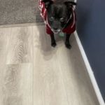 Ark Veterinary Clinic
