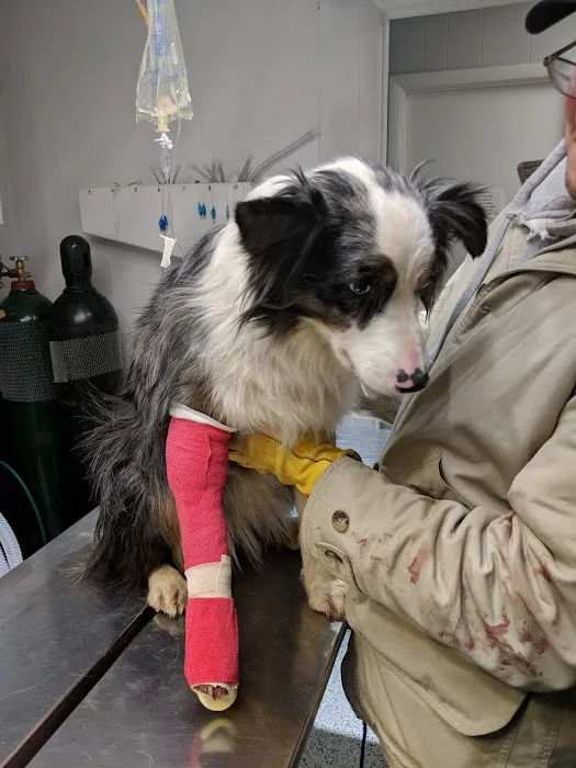 Harrison Veterinary Clinic Picture 4