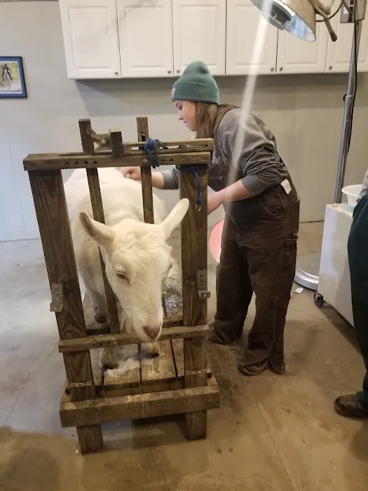 Harrison Veterinary Clinic Picture 9