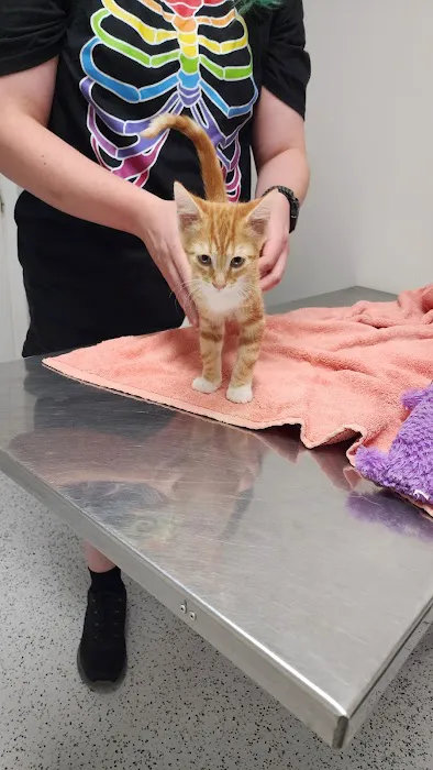 Harrison Veterinary Clinic Picture 1