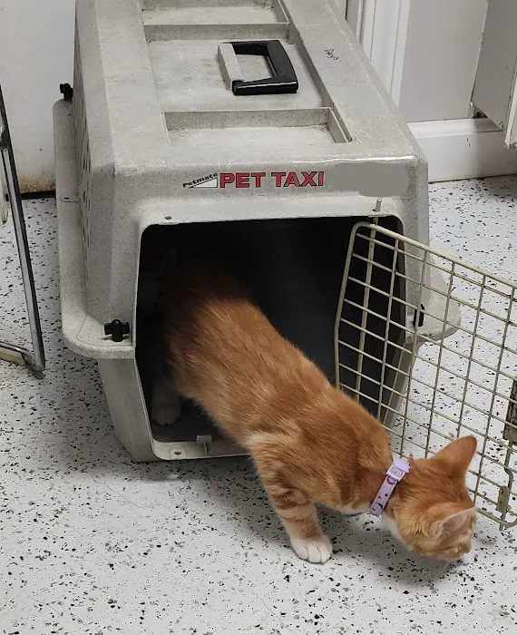 Harrison Veterinary Clinic Picture 3