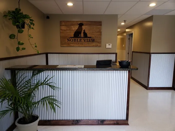 Noble View Veterinary Clinic Picture 8