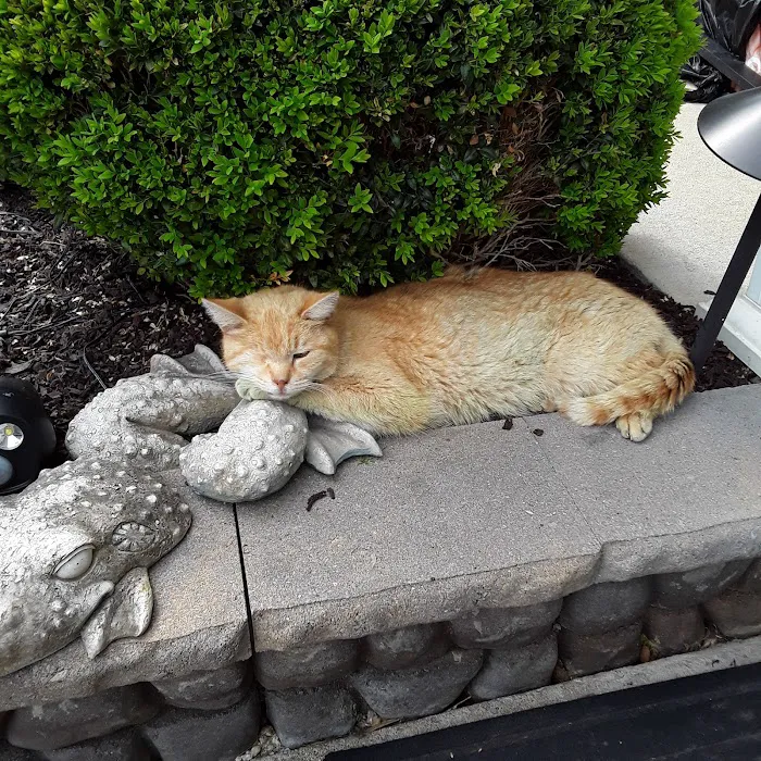 Noble View Veterinary Clinic Picture 7