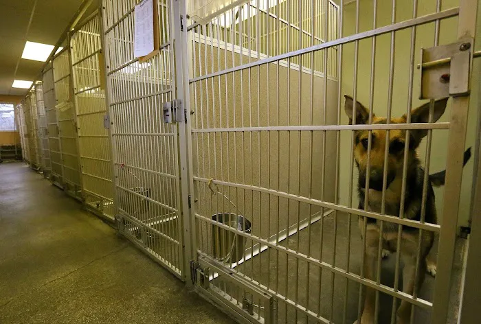 Frankfort Animal Clinic Picture 8