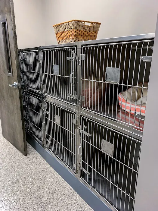 All Pets Veterinary Clinic Picture 7